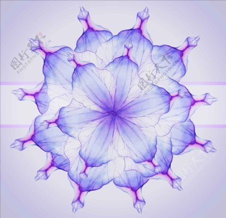 紫色梦幻炫彩花朵