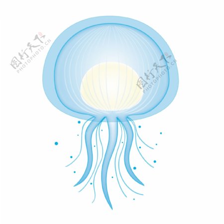 原创海洋生物水母透明感蓝色水母