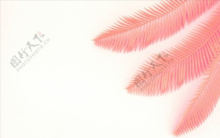 粉色羽毛海报设计素材