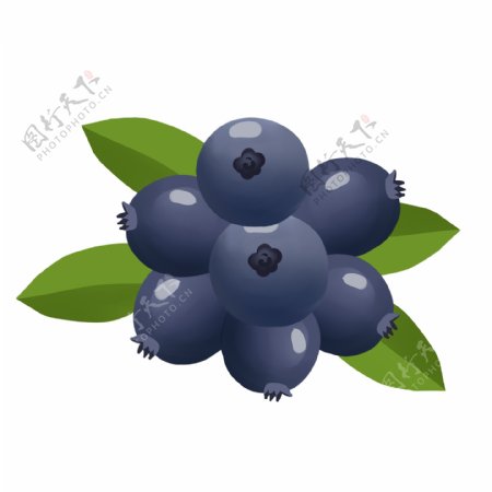 手绘夏季自然清新水果蓝莓免抠png