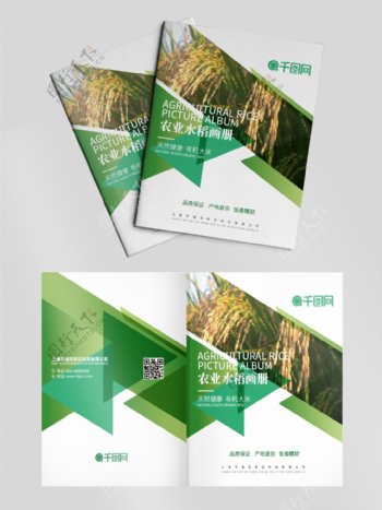 绿色时尚农业水稻种植画册封面