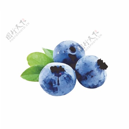 原创蓝莓手绘水果卡通矢量