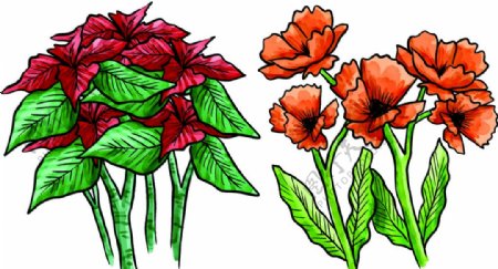 手绘彩色花束花朵玫瑰