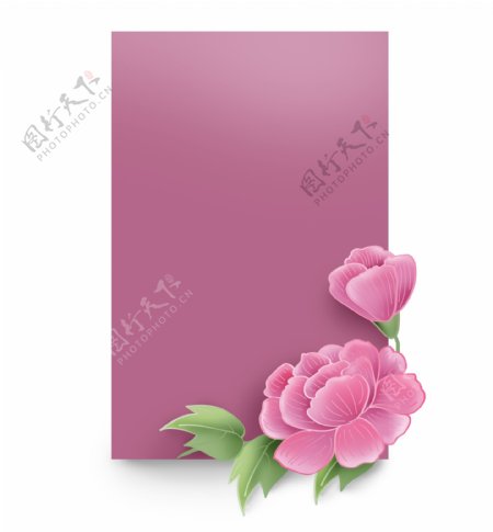 粉色牡丹花文字框