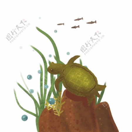 海洋乌龟和水草