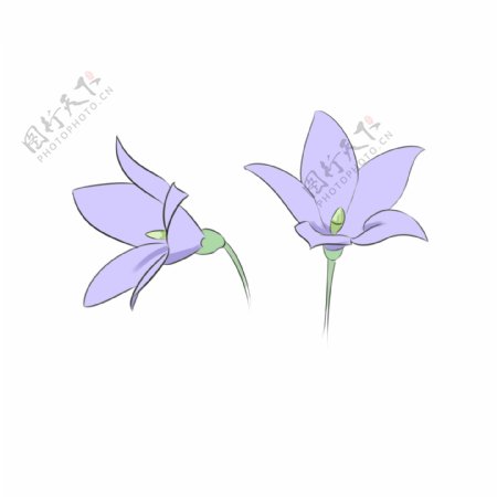 漂亮的蓝色花朵插画