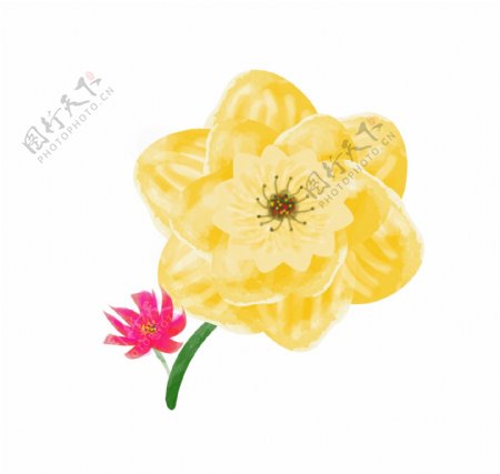 黄色的花朵装饰插画