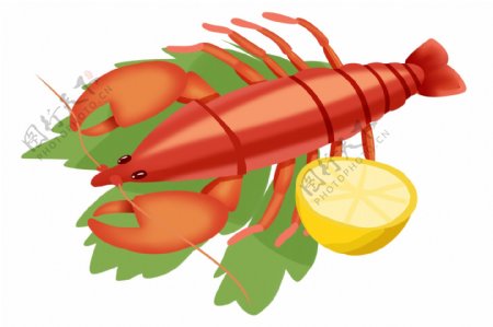 海鲜美食大龙虾插画