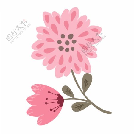 两朵花朵装饰插图
