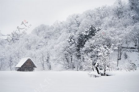 美丽的雪景