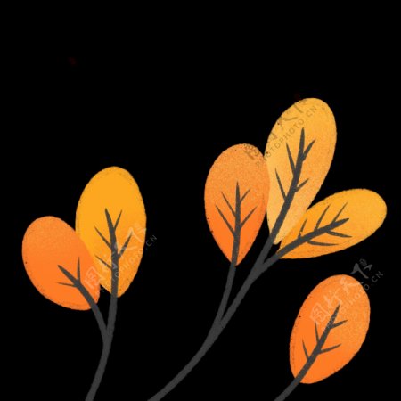 植物叶子小树橙色