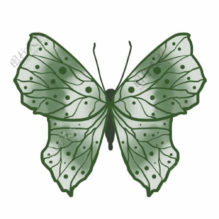 动物昆虫蝴蝶绿色
