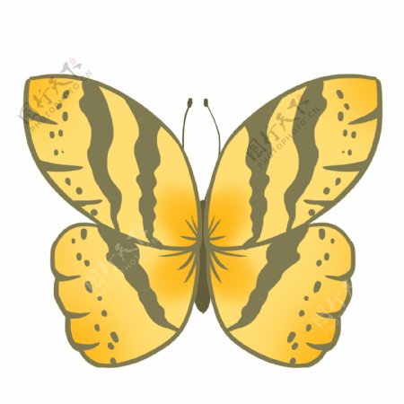 昆虫蝴蝶黄色