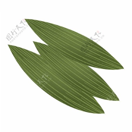 深绿色端午节手绘粽叶
