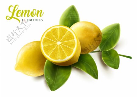 新鲜带叶柠檬设计矢量素材