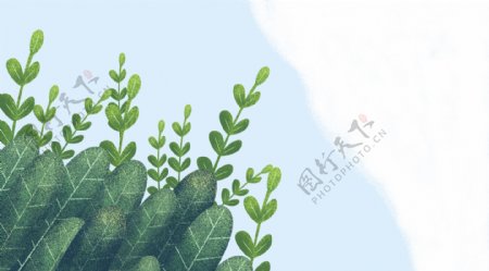 卡通清新风植物插画背景