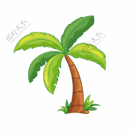 椰树矢量卡通元素