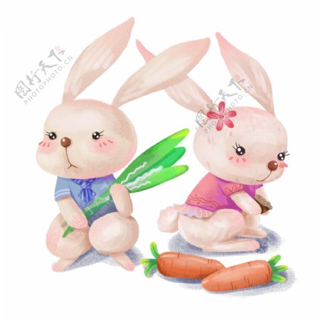 手绘可爱卡通动物白色兔子胡萝卜