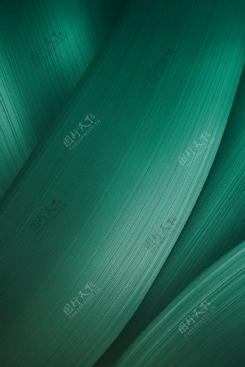绿色粽叶端午节质感纹理背景