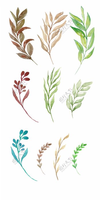 绿色花藤植物插画