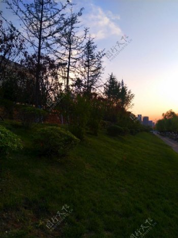 日暮下的公园风景
