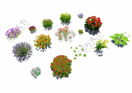 园林景观花卉植物psd抠图素材