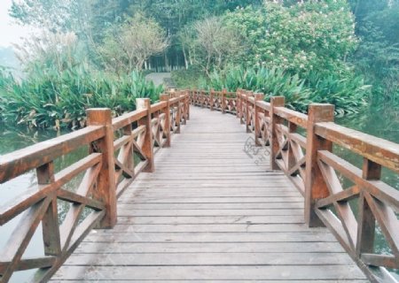 桥木桥路桤木河湿地公园