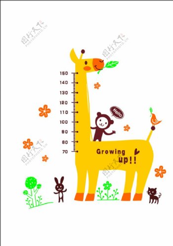 长颈鹿身高图