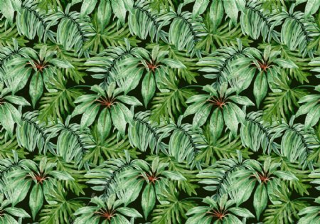 热带雨林植物绿色芭蕉叶背景墙