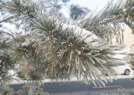 树挂干草雪地东北冬天