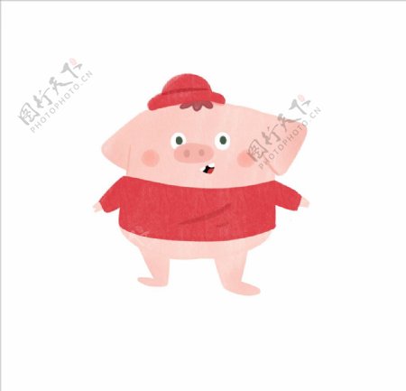 插画小猪