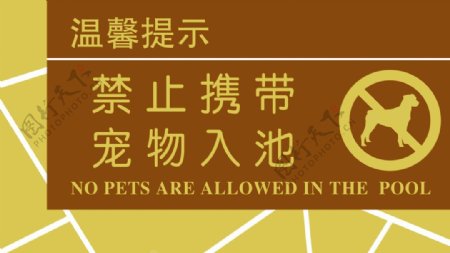 禁止携带宠物入池