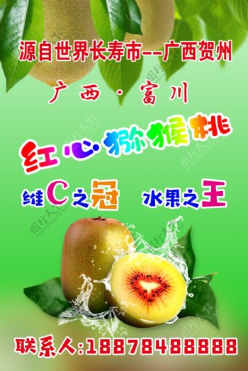 猕猴桃水果海报