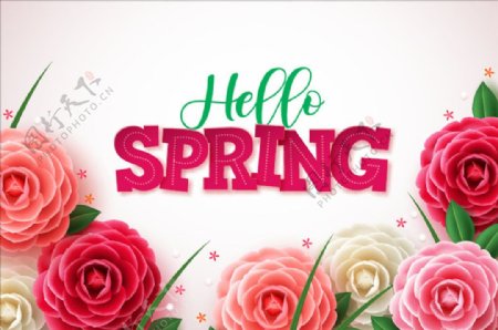春季花卉海报