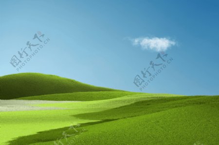 自然合成绿色草原草地壁纸