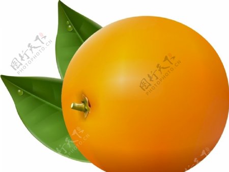 橙子橘子