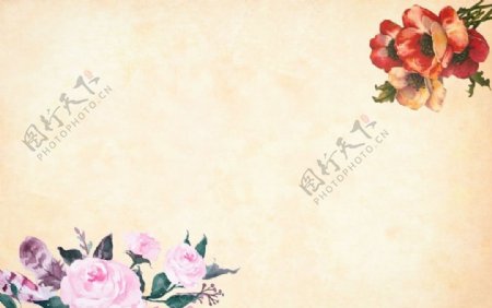花纹花朵背景图