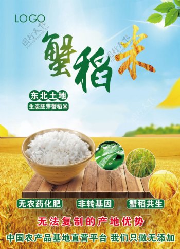 蟹稻米