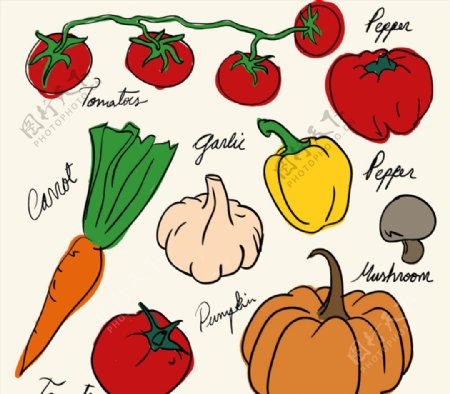 矢量手绘蔬菜图标