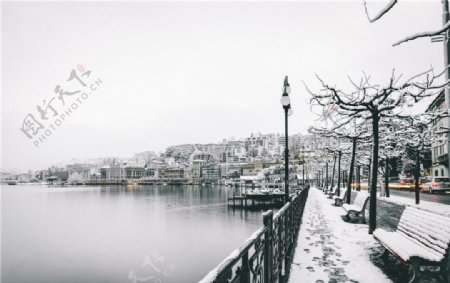 城市的湖边雪景