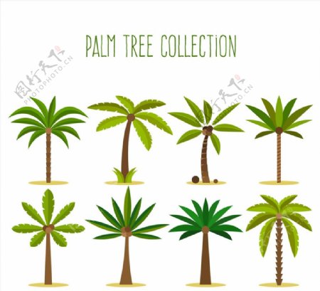 绿色棕榈树设计矢量素材