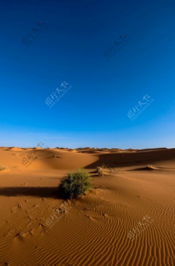 蓝天沙漠