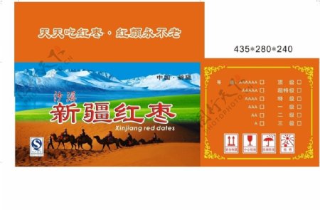 新疆红枣雪山草原骆驼队