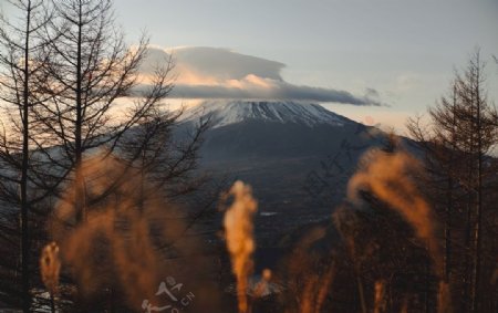 富士山