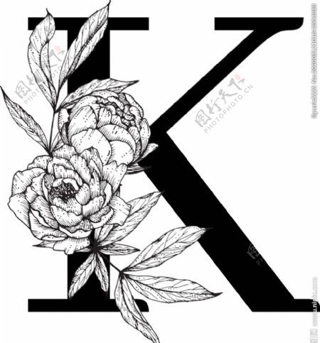 花卉装饰字母字母K