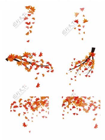 秋季落叶素材