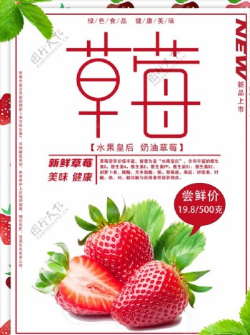 草莓草莓采摘草莓海报