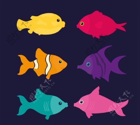 彩色鱼类设计图片