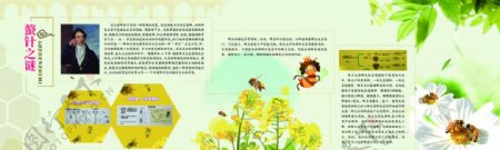 蜜蜂文化展厅墙面图片