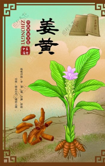 中草药药材植物海报图片